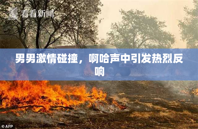 男男激情碰撞，啊哈声中引发热烈反响