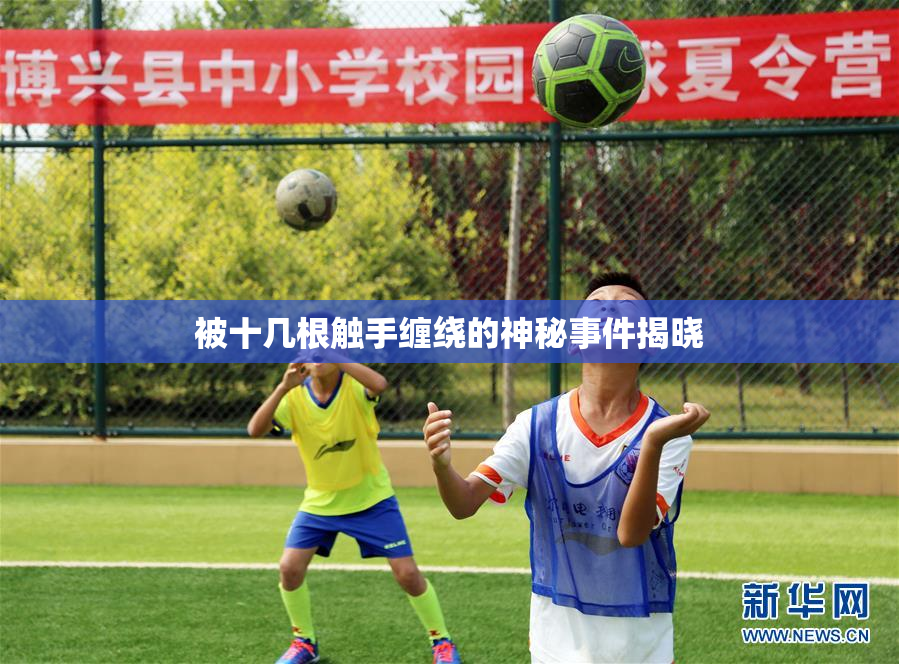 被十几根触手缠绕的神秘事件揭晓