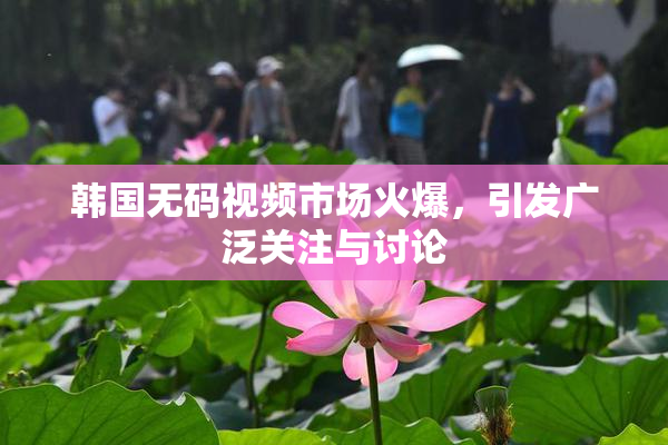 韩国无码视频市场火爆，引发广泛关注与讨论