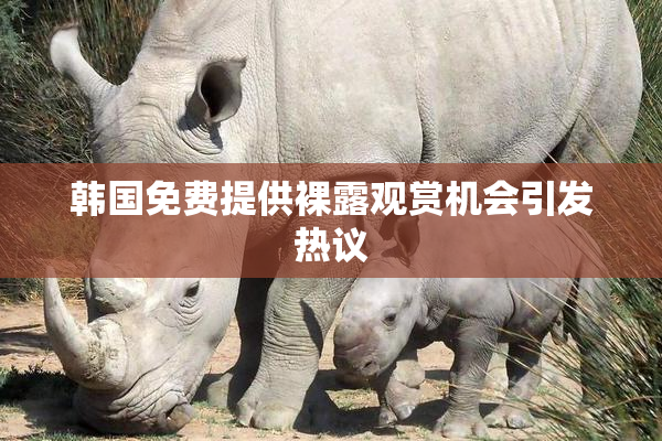 韩国免费提供裸露观赏机会引发热议