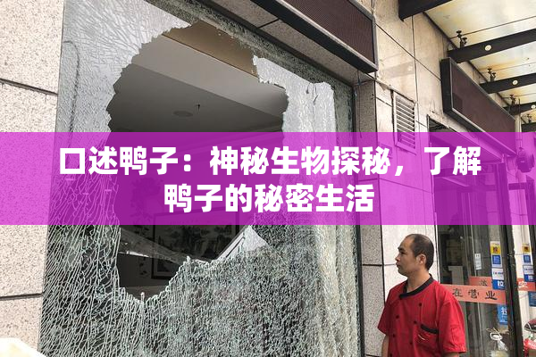 口述鸭子：神秘生物探秘，了解鸭子的秘密生活