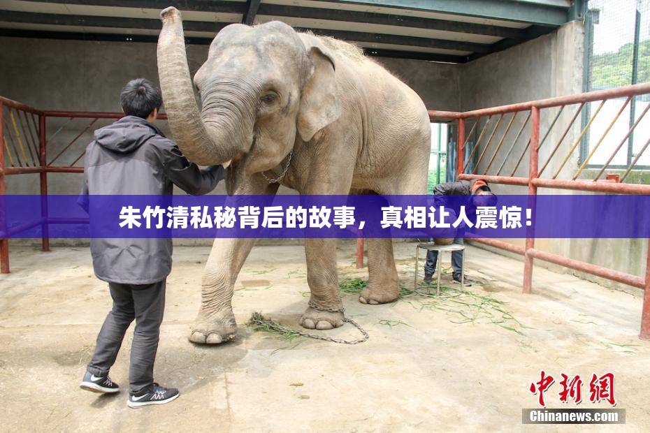 朱竹清私秘背后的故事，真相让人震惊！
