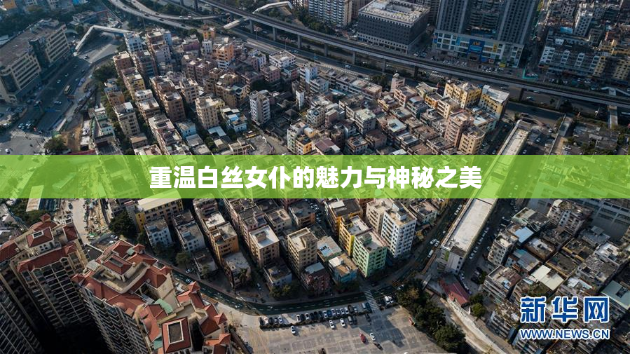 重温白丝女仆的魅力与神秘之美