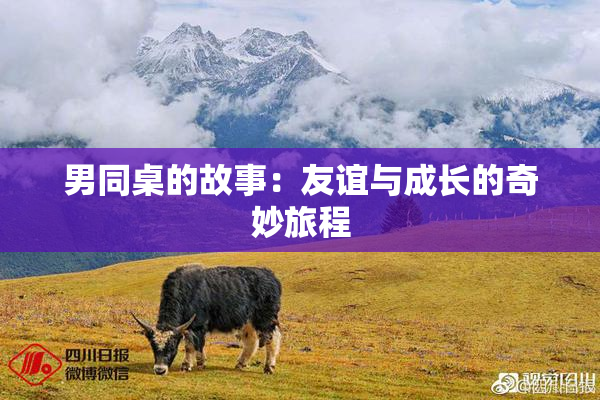 男同桌的故事：友谊与成长的奇妙旅程