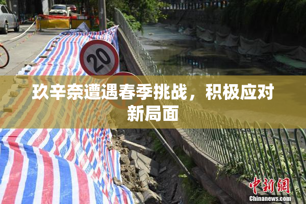 玖辛奈遭遇春季挑战，积极应对新局面