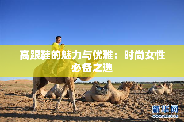高跟鞋的魅力与优雅：时尚女性必备之选