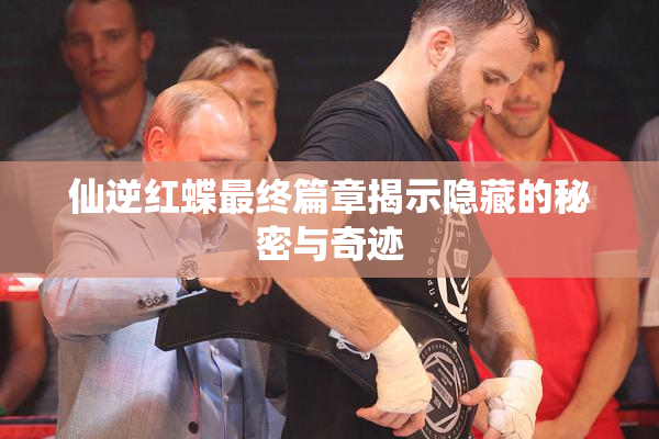 仙逆红蝶最终篇章揭示隐藏的秘密与奇迹