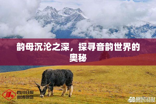 韵母沉沦之深，探寻音韵世界的奥秘