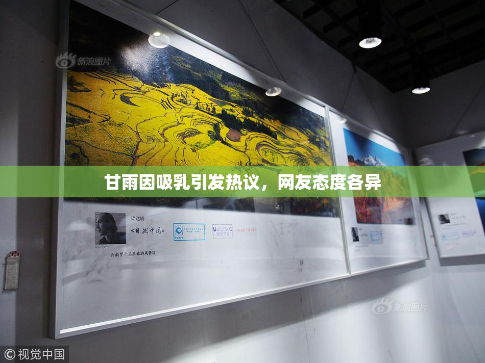 甘雨因吸乳引发热议，网友态度各异
