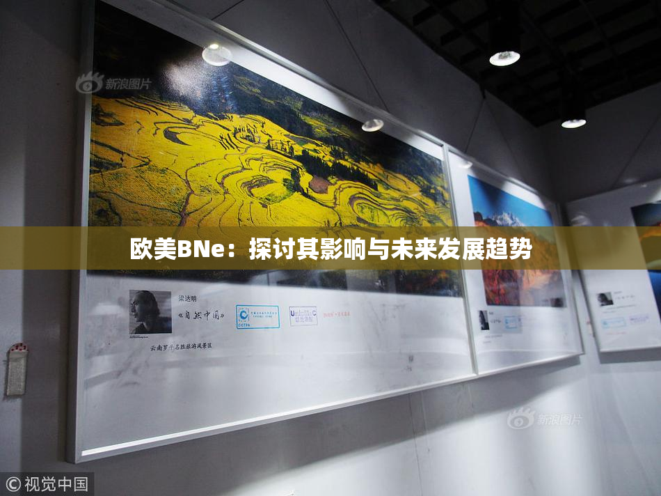 欧美BNe：探讨其影响与未来发展趋势
