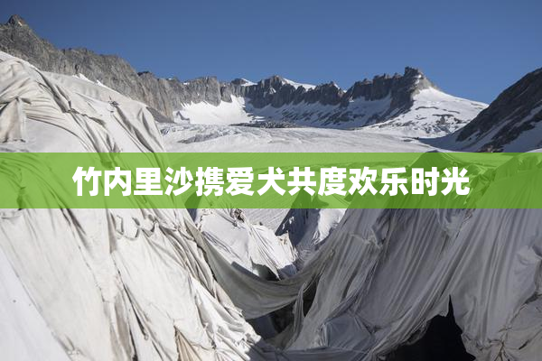 竹内里沙携爱犬共度欢乐时光