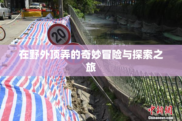 在野外顶弄的奇妙冒险与探索之旅
