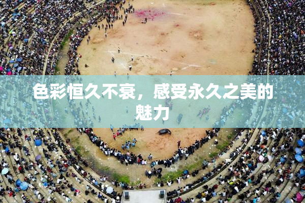 色彩恒久不衰，感受永久之美的魅力