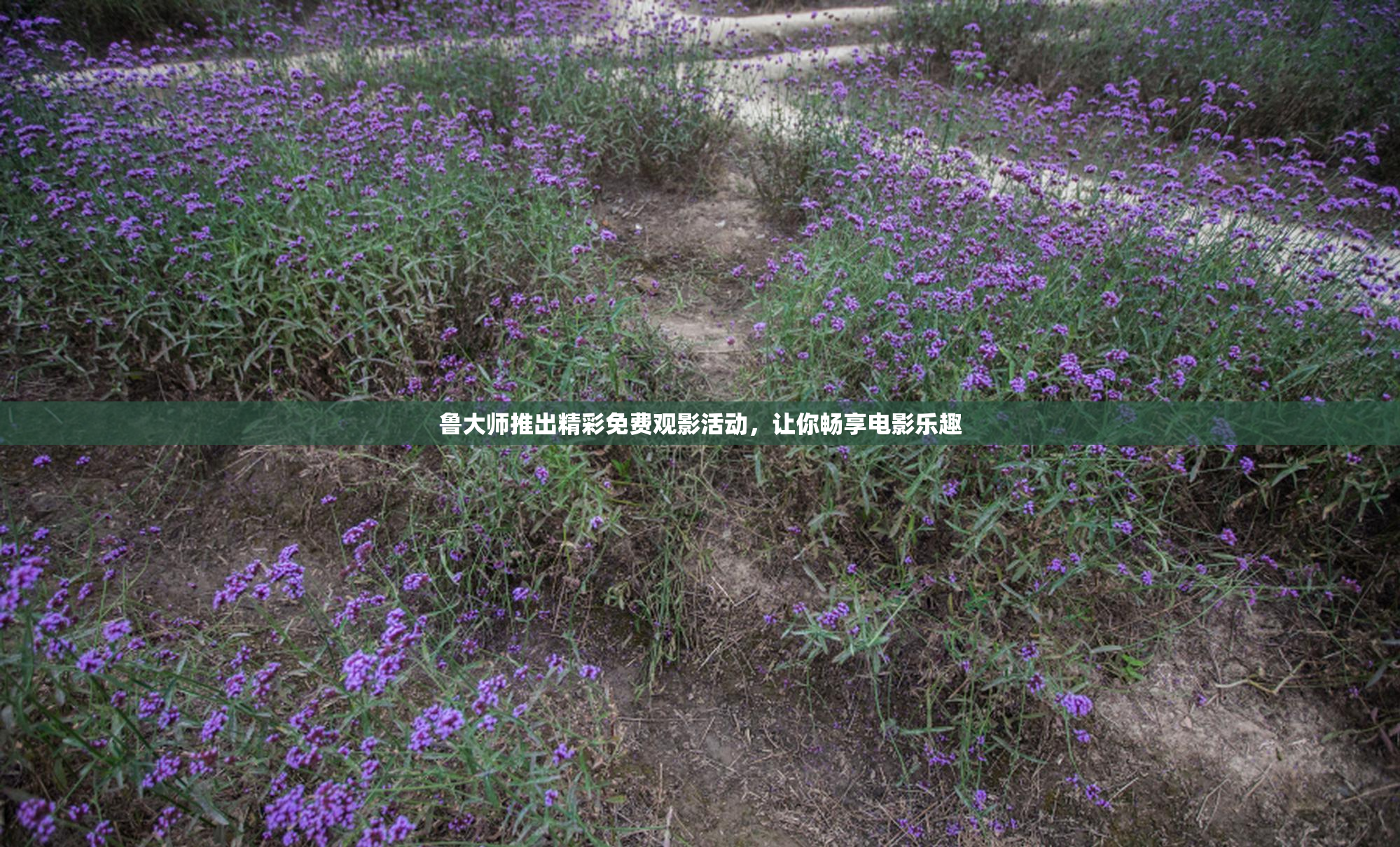 鲁大师推出精彩免费观影活动，让你畅享电影乐趣
