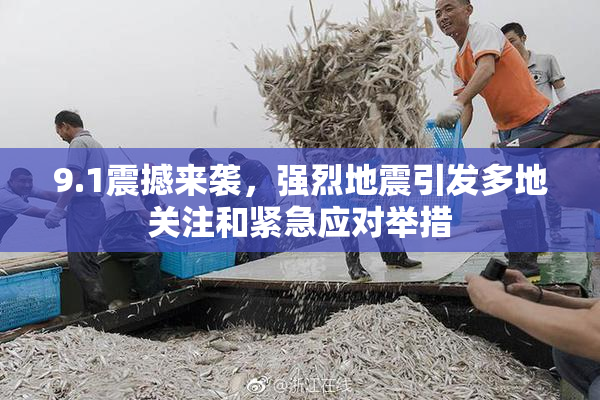 9.1震撼来袭，强烈地震引发多地关注和紧急应对举措