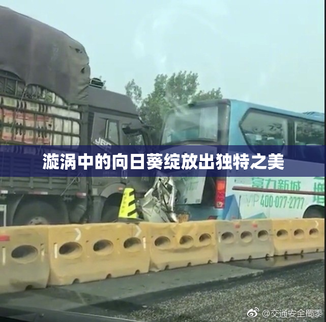 漩涡中的向日葵绽放出独特之美