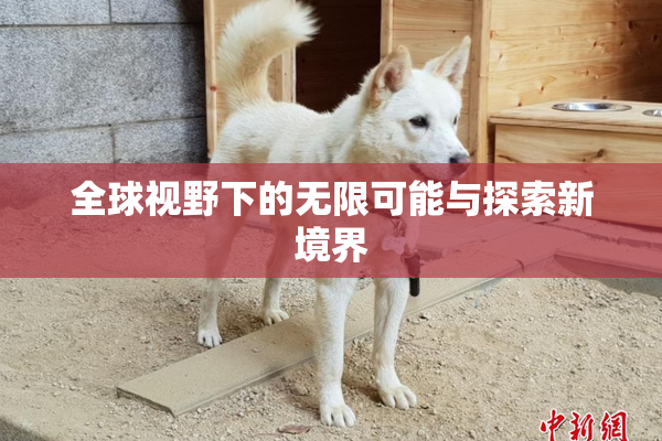 全球视野下的无限可能与探索新境界