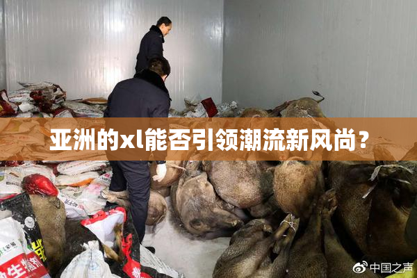亚洲的xl能否引领潮流新风尚？