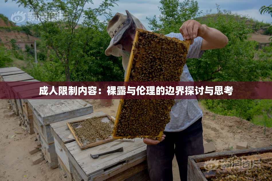 成人限制内容：裸露与伦理的边界探讨与思考