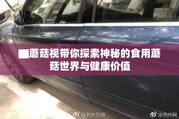▇蘑菇视带你探索神秘的食用蘑菇世界与健康价值