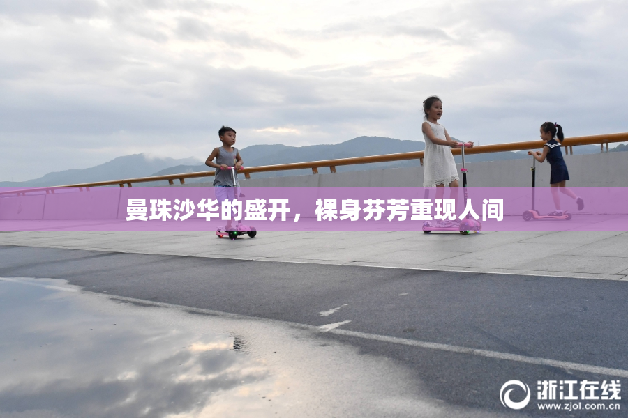 曼珠沙华的盛开，裸身芬芳重现人间