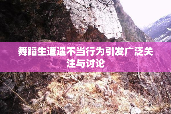 舞蹈生遭遇不当行为引发广泛关注与讨论