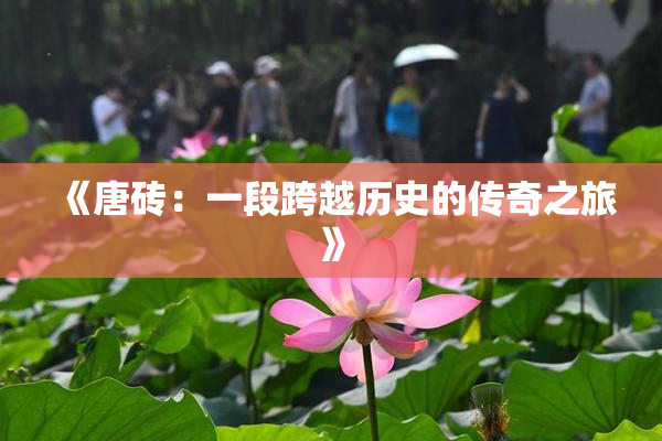 《唐砖：一段跨越历史的传奇之旅》