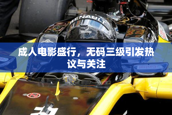 成人电影盛行，无码三级引发热议与关注