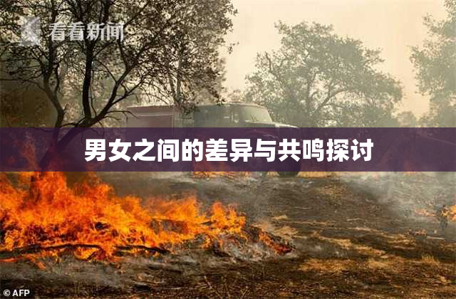 男女之间的差异与共鸣探讨