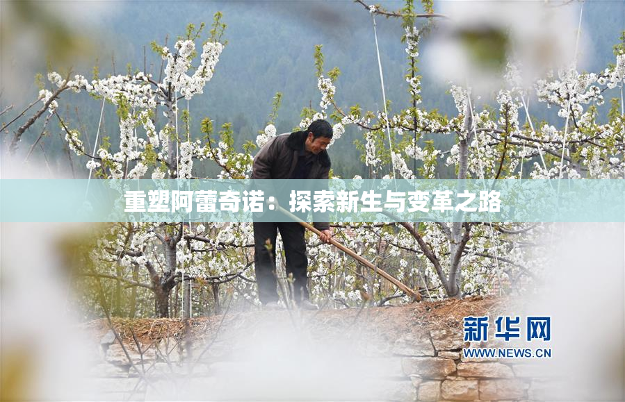 重塑阿蕾奇诺：探索新生与变革之路