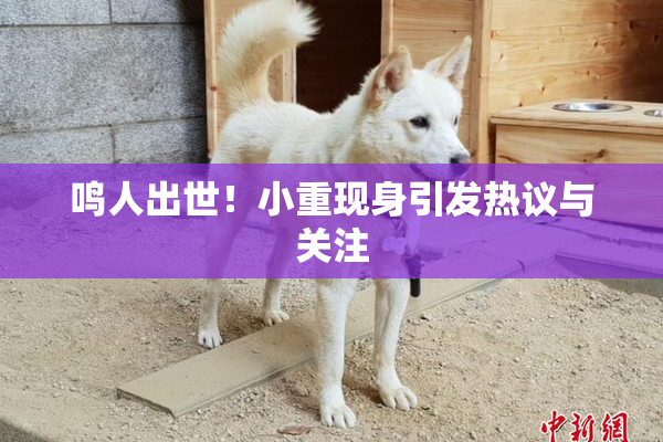 鸣人出世！小重现身引发热议与关注