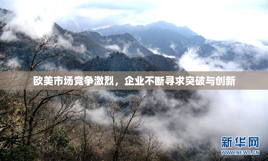 欧美市场竞争激烈，企业不断寻求突破与创新