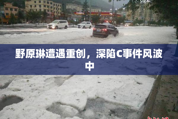 野原琳遭遇重创，深陷C事件风波中