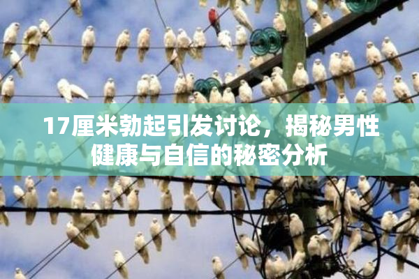 17厘米勃起引发讨论，揭秘男性健康与自信的秘密分析