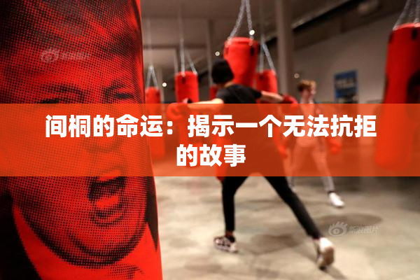 间桐的命运：揭示一个无法抗拒的故事