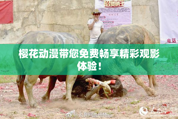 樱花动漫带您免费畅享精彩观影体验！