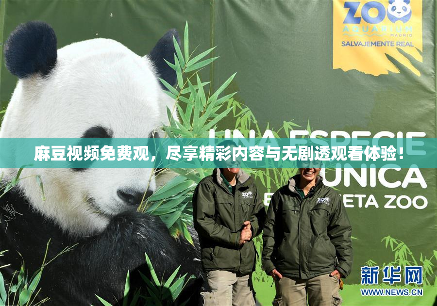 麻豆视频免费观，尽享精彩内容与无剧透观看体验！
