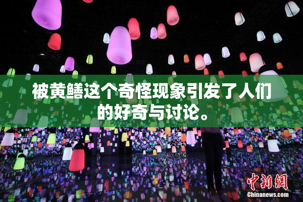 被黄鳝这个奇怪现象引发了人们的好奇与讨论。