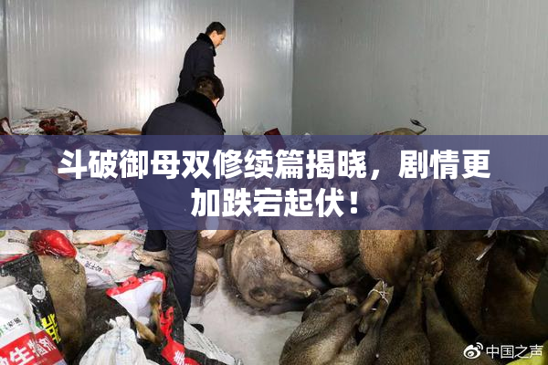 斗破御母双修续篇揭晓，剧情更加跌宕起伏！