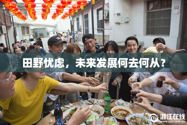 田野忧虑，未来发展何去何从？