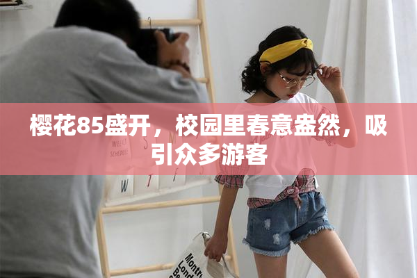 樱花85盛开，校园里春意盎然，吸引众多游客
