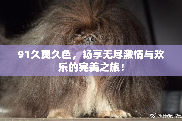 91久爽久色，畅享无尽激情与欢乐的完美之旅！