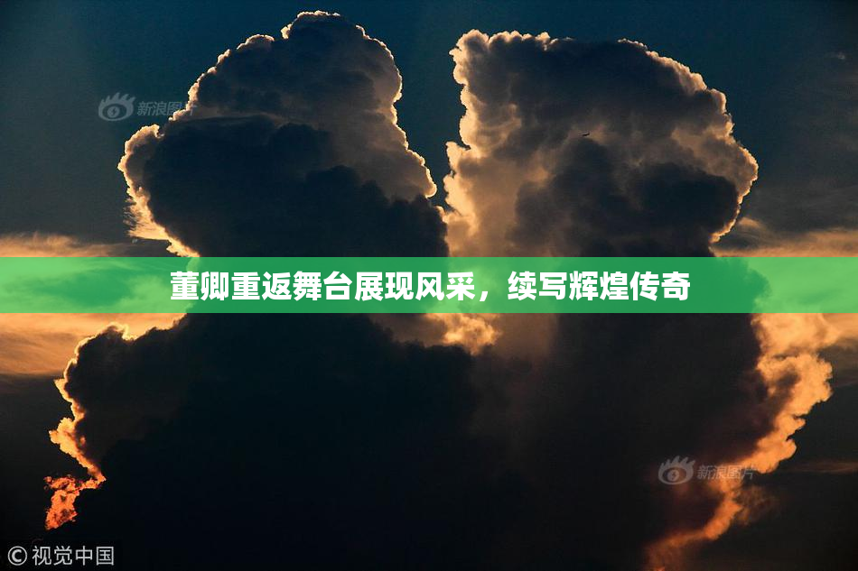 董卿重返舞台展现风采，续写辉煌传奇