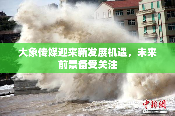 大象传媒迎来新发展机遇，未来前景备受关注