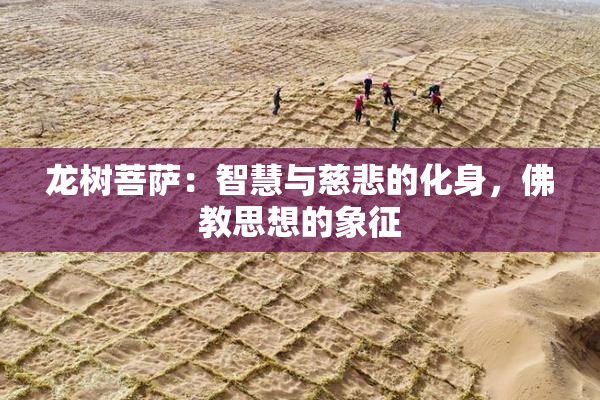 龙树菩萨：智慧与慈悲的化身，佛教思想的象征