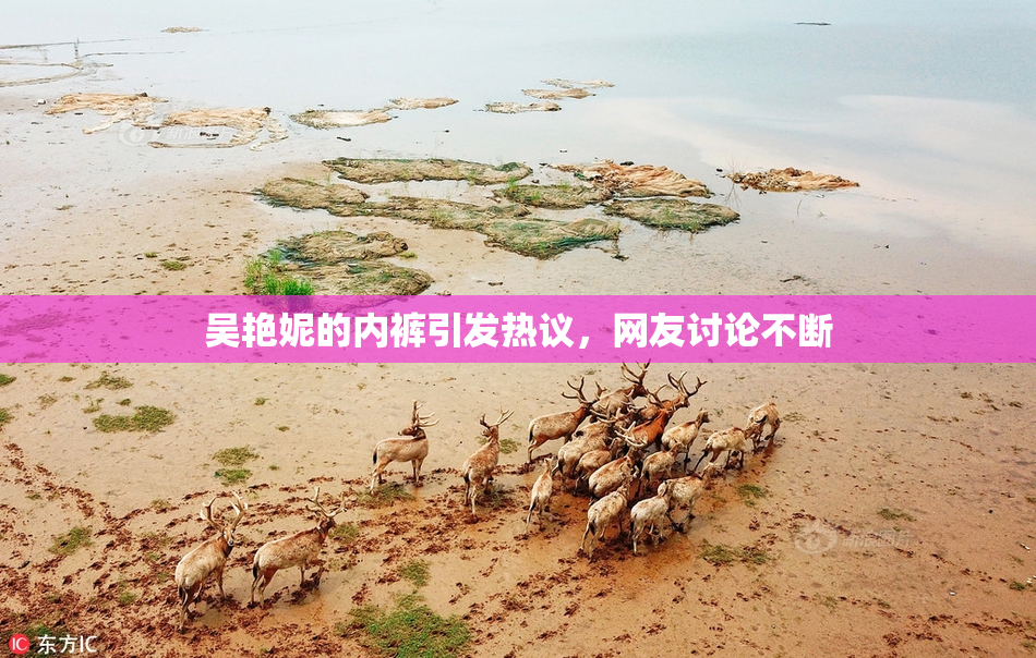 吴艳妮的内裤引发热议，网友讨论不断