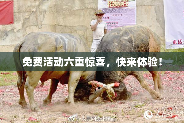 免费活动六重惊喜，快来体验！