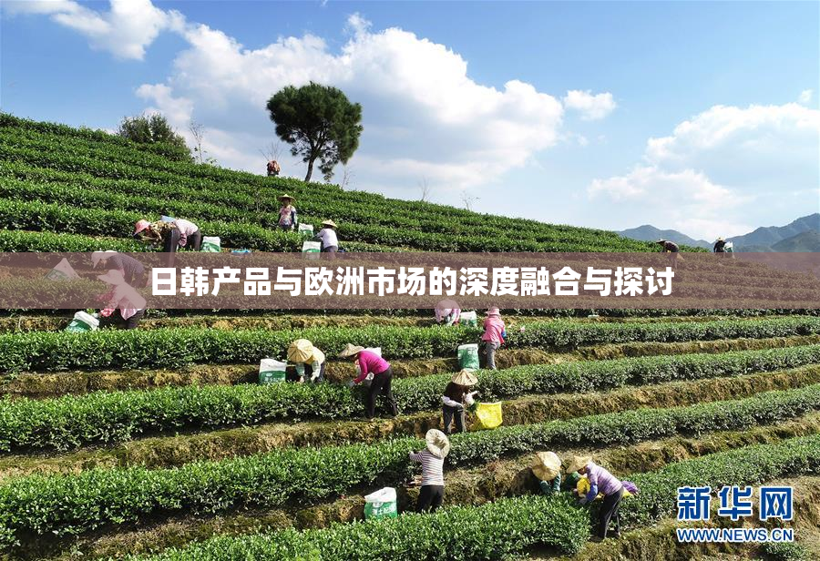 日韩产品与欧洲市场的深度融合与探讨