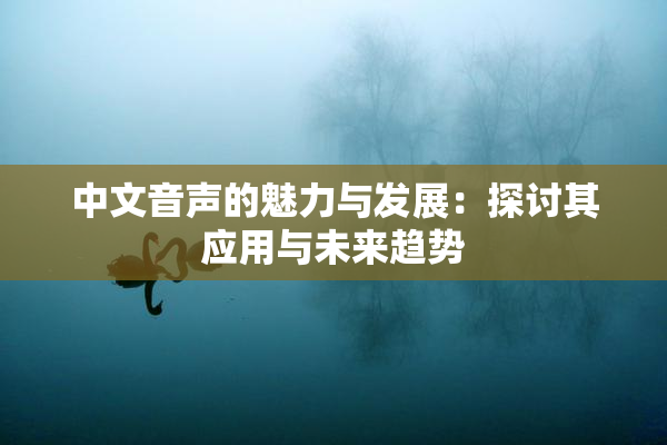 中文音声的魅力与发展：探讨其应用与未来趋势