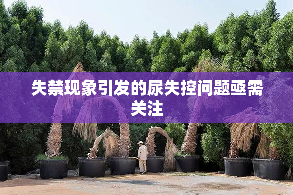 失禁现象引发的尿失控问题亟需关注